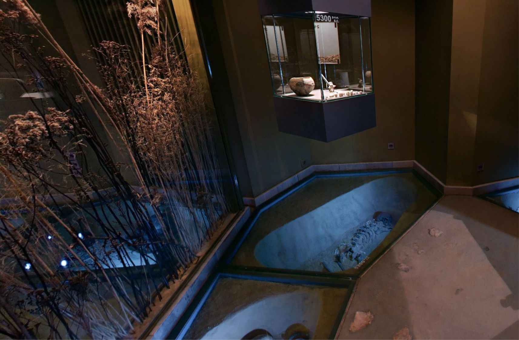 Archaeological Museum of the Jagiellonian University Krakow