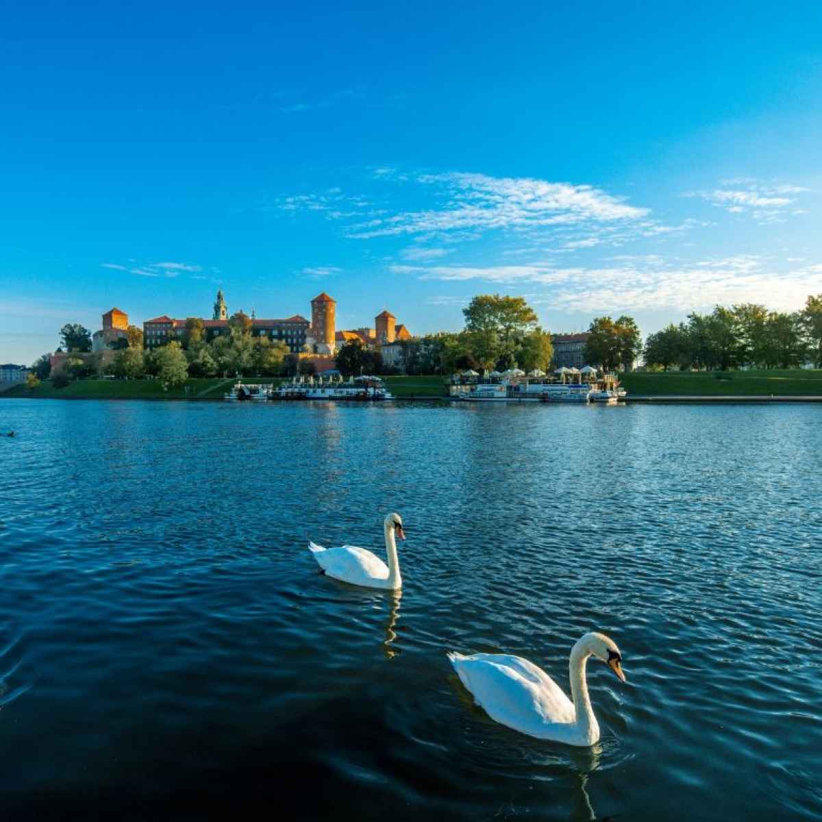 Crucero por el río en Cracovia por el río Vístula
