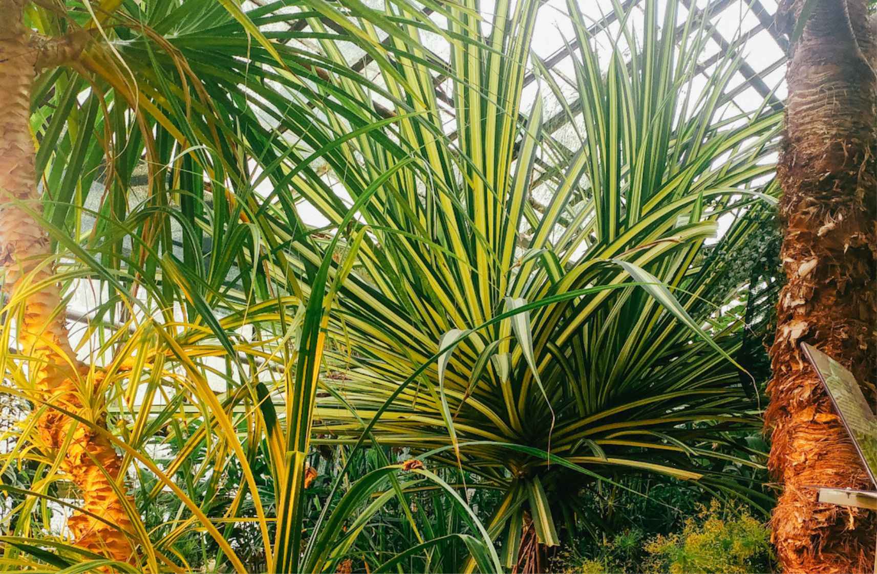Botanical Garden in Krakow