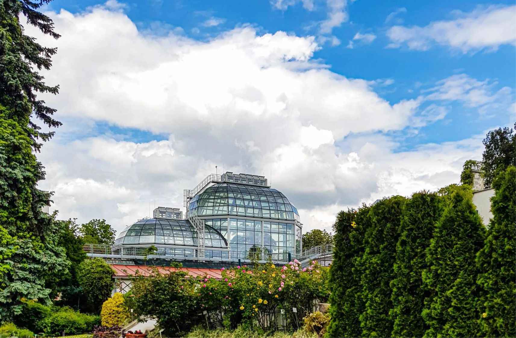 Botanical Garden in Krakow