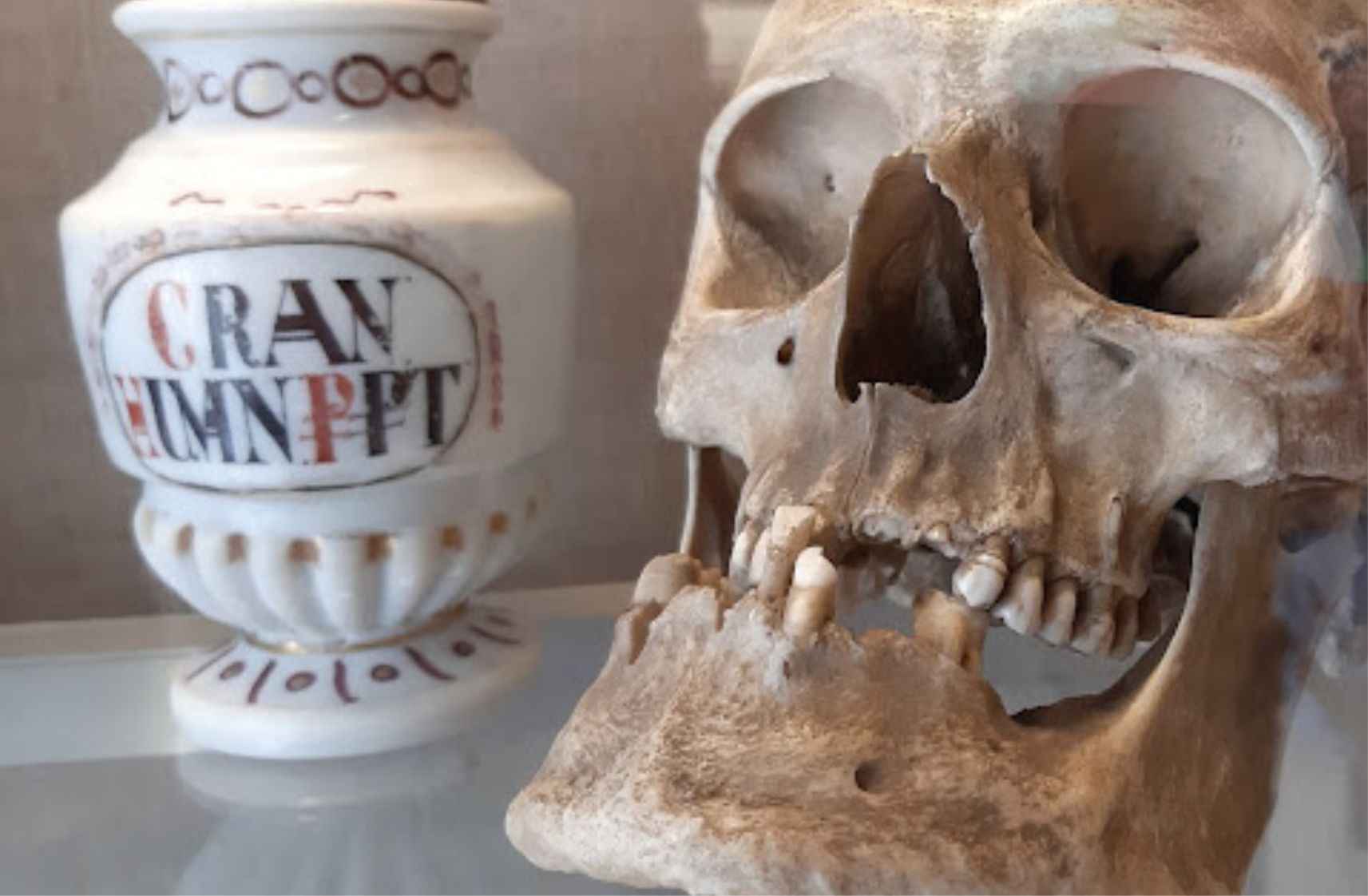 Museum of Pharmacy in Krakow