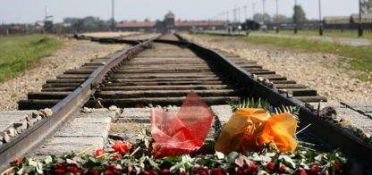 Conmemoración del 79º aniversario de la liquidación del campo de Roma en Auschwitz